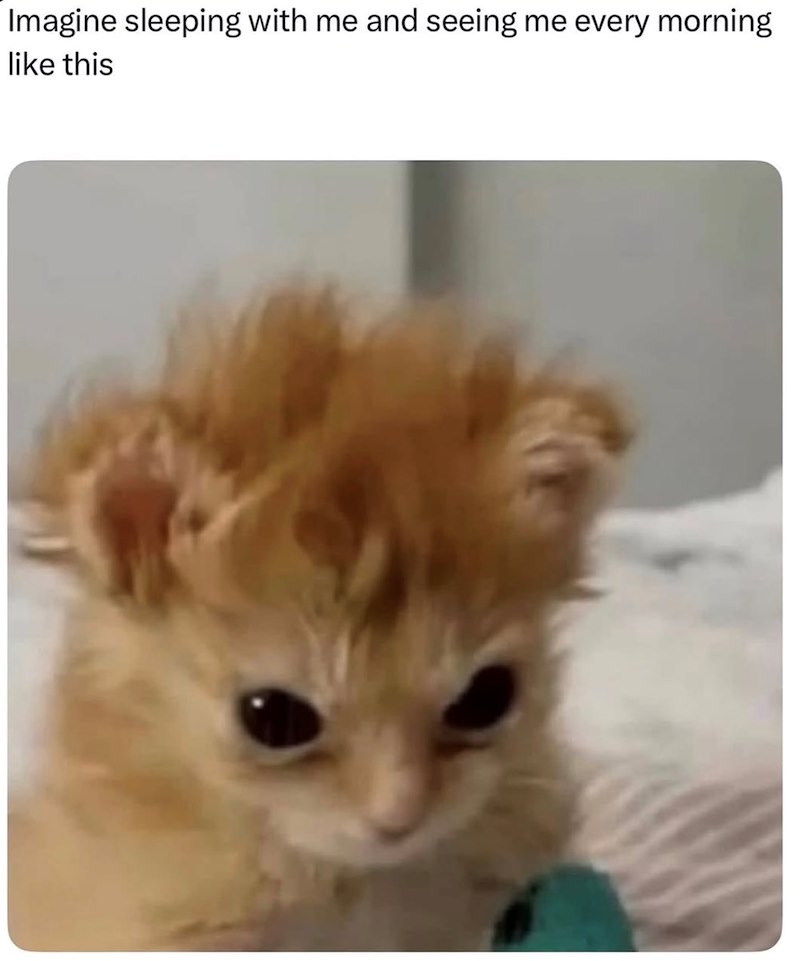 Imagine sleeping with me and seeing me every morning like this