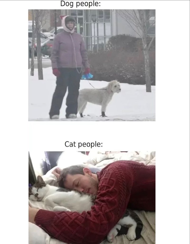 Dog people: Cat people: