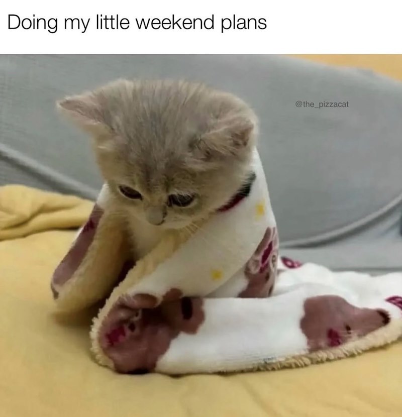 Doing my little weekend plans @the_pizzacat