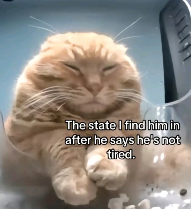 The state I find him in after he says he's not tired.
