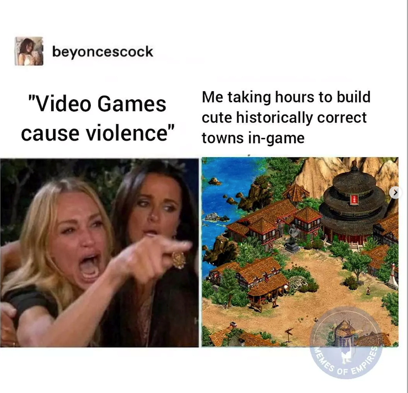beyoncescock "Video Games cause violence" Me taking hours to build cute historically correct towns in-game MEMES OF EMPIRES