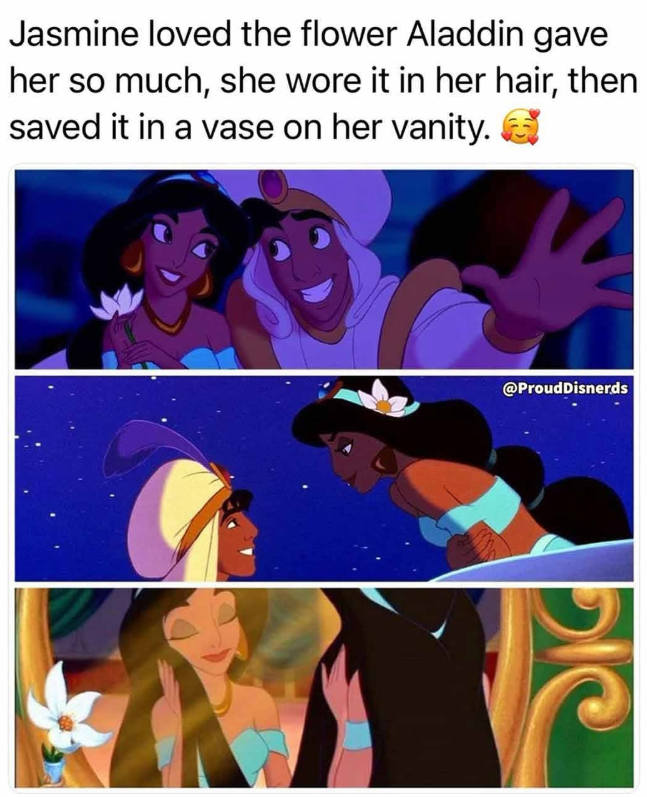 Jasmine loved the flower Aladdin gave her so much, she wore it in her hair, then saved it in a vase on her vanity. @ProudDisnerds