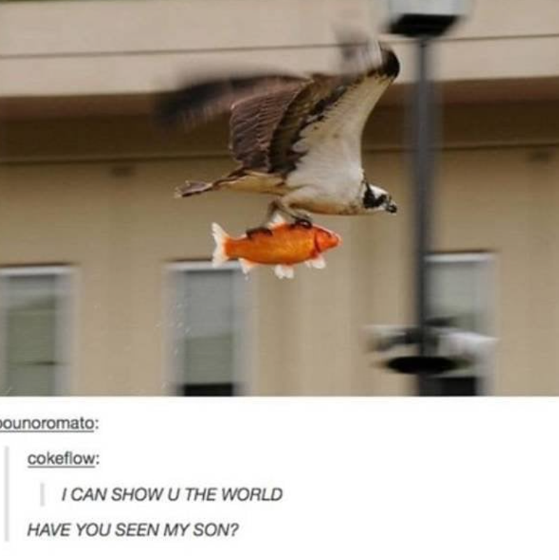 pounoromato: cokeflow: I CAN SHOW U THE WORLD HAVE YOU SEEN MY SON?