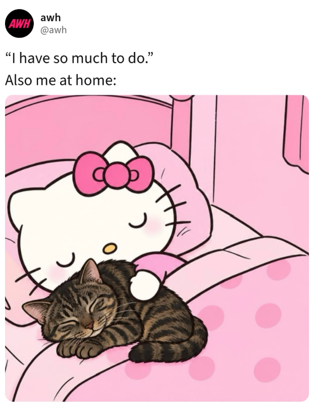 AWH awh @awh "I have so much to do." Also me at home: