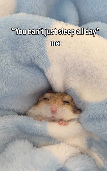 "You can't just sleep all day" me: