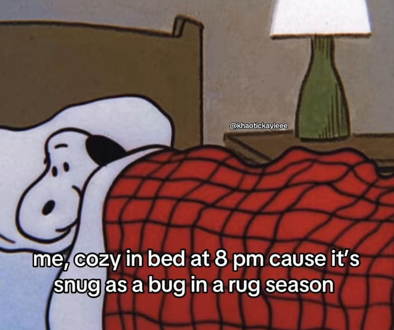 @khaotickayleee me, cozy in bed at 8 pm cause it's snug as a bug in a rug season
