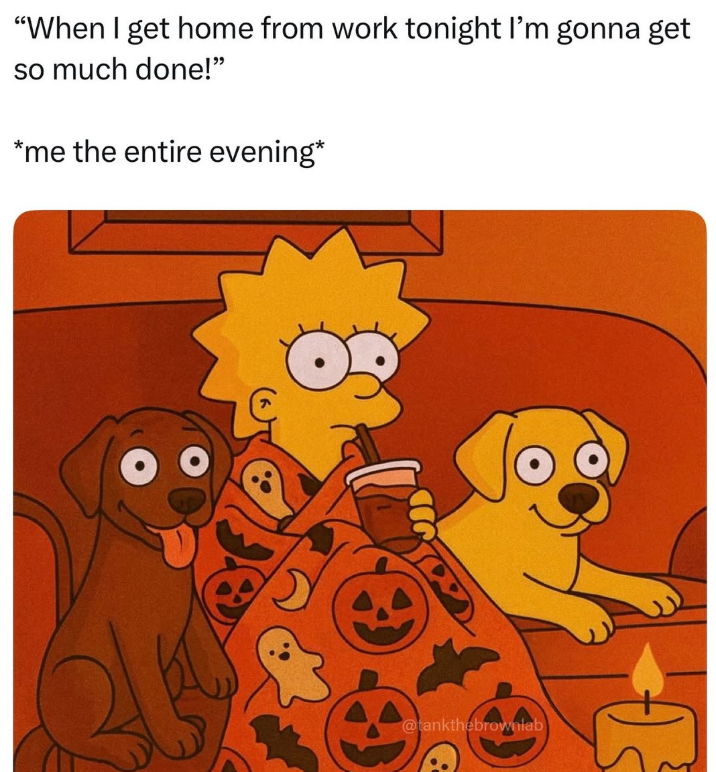 "When I get home from work tonight I'm gonna get so much done!" *me the entire evening* @tankthebrownlab