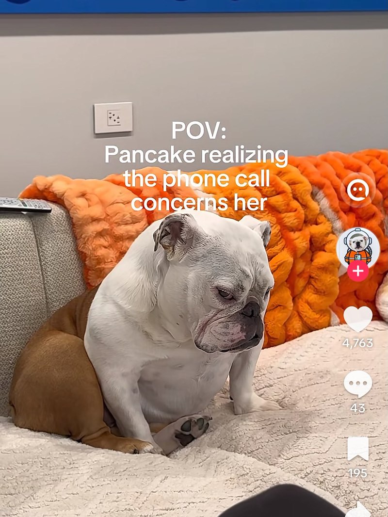POV: Pancake realizing the phone call concerns her + 4,763 000 43 195