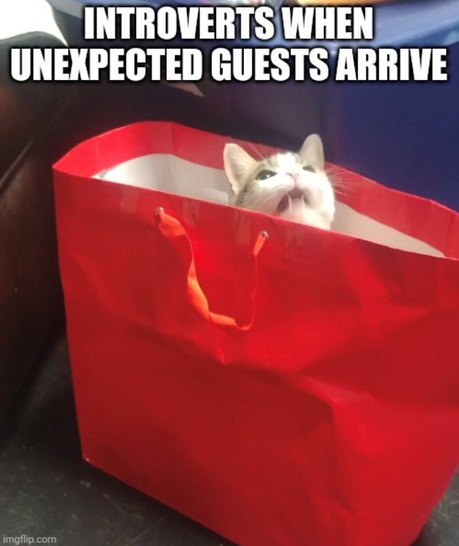 INTROVERTS WHEN UNEXPECTED GUESTS ARRIVE imgflip.com