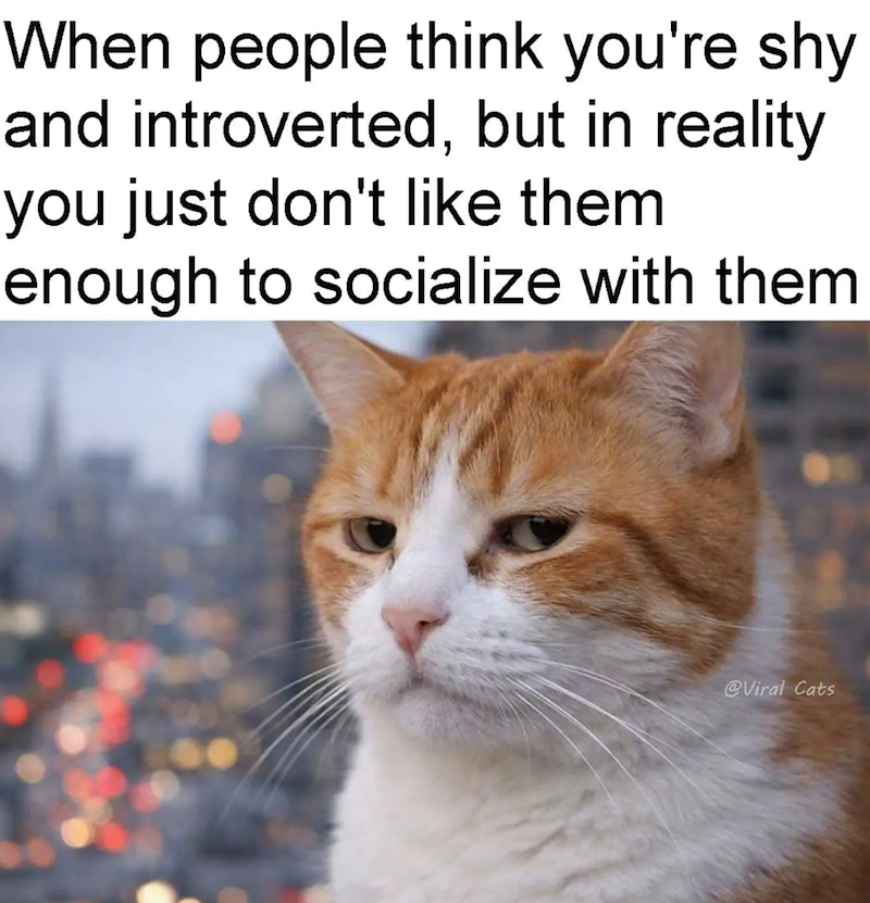 When people think you're shy and introverted, but in reality you just don't like them enough to socialize with them @Viral Cats