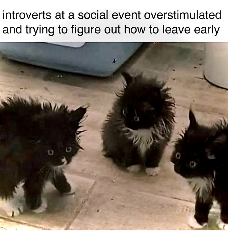 introverts at a social event overstimulated and trying to figure out how to leave early