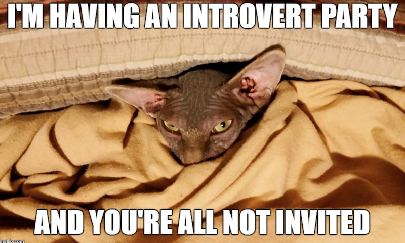 I'M HAVING AN INTROVERT PARTY maflio.com AND YOU'RE ALL NOT INVITED