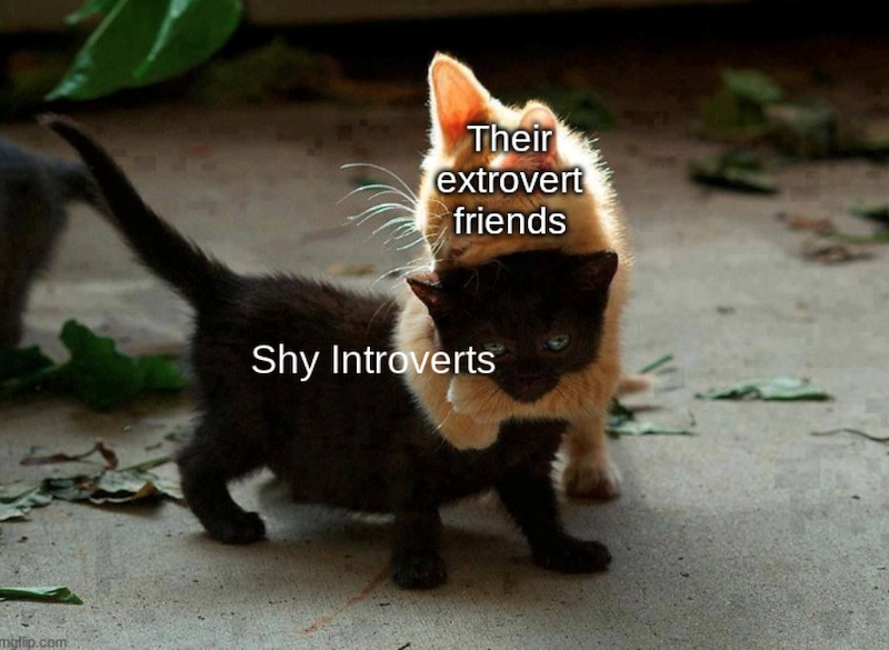 mgflip.com Their extrovert friends Shy Introverts