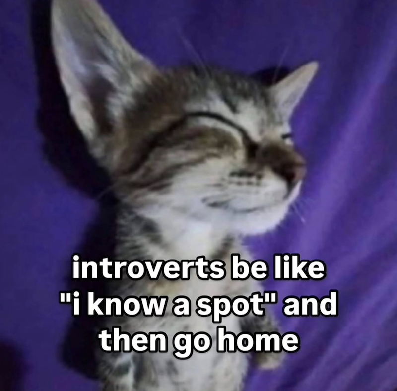 introverts be like "i know a spot" and then go home