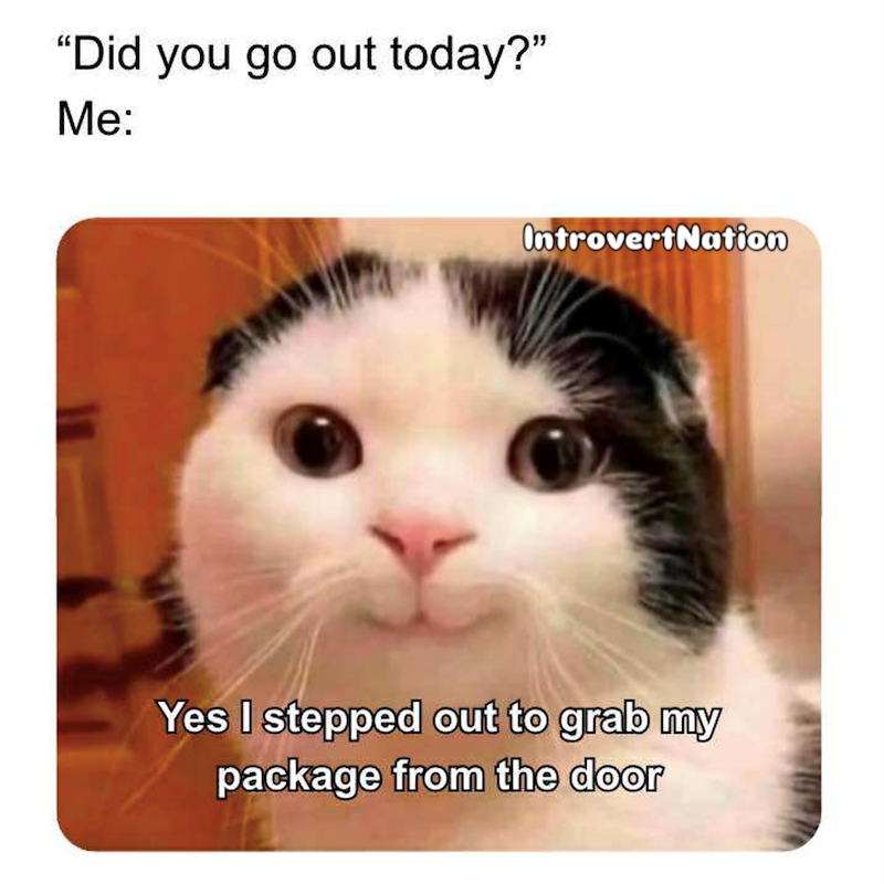"Did you go out today?" Me: IntrovertNation Yes I stepped out to grab my package from the door