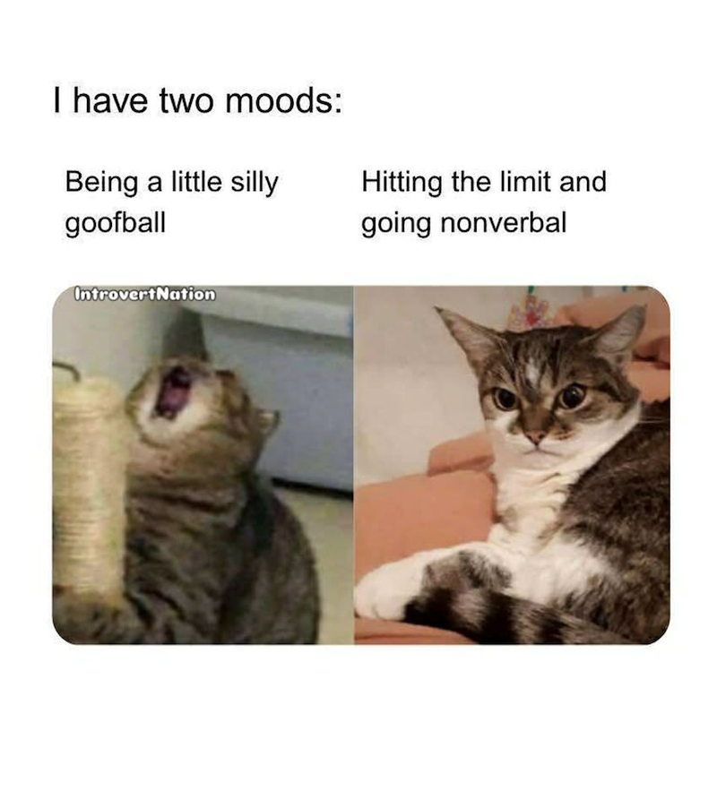 I have two moods: Being a little silly goofball Hitting the limit and going nonverbal IntrovertNation