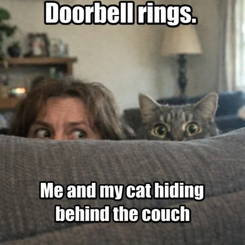 Doorbell rings. Me and my cat hiding behind the couch