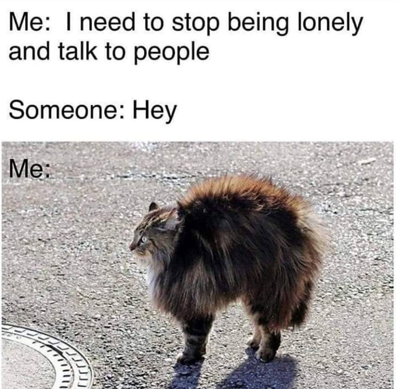 Me: I need to stop being lonely and talk to people Someone: Hey Me: