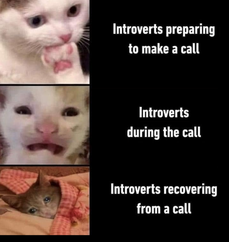 Introverts preparing to make a call Introverts during the call Introverts recovering from a call