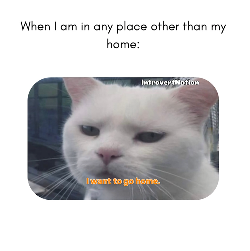 When I am in any place other than my home: IntrovertNation I want to go home.