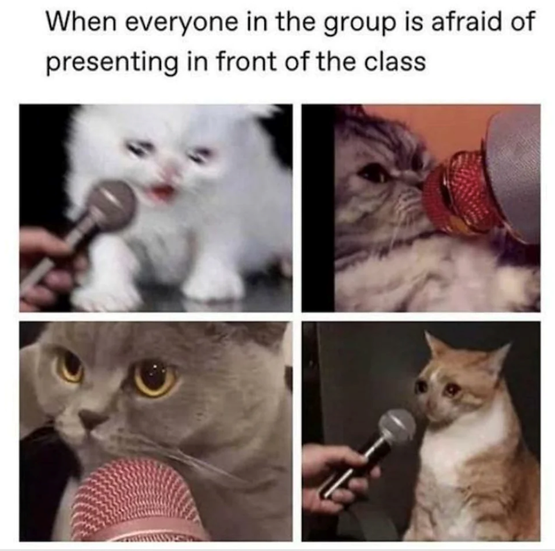 When everyone in the group is afraid of presenting in front of the class
