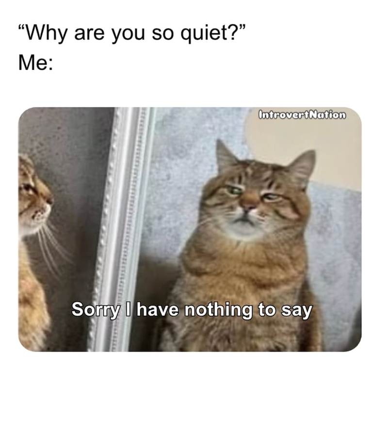 "Why are you so quiet?" Me: IntrovertNation Sorry I have nothing to say