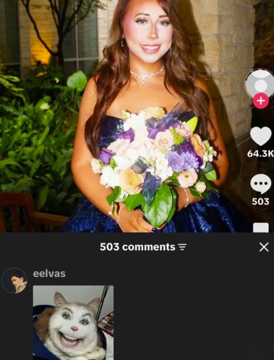 eelvas 503 comments = + 64.3K 503