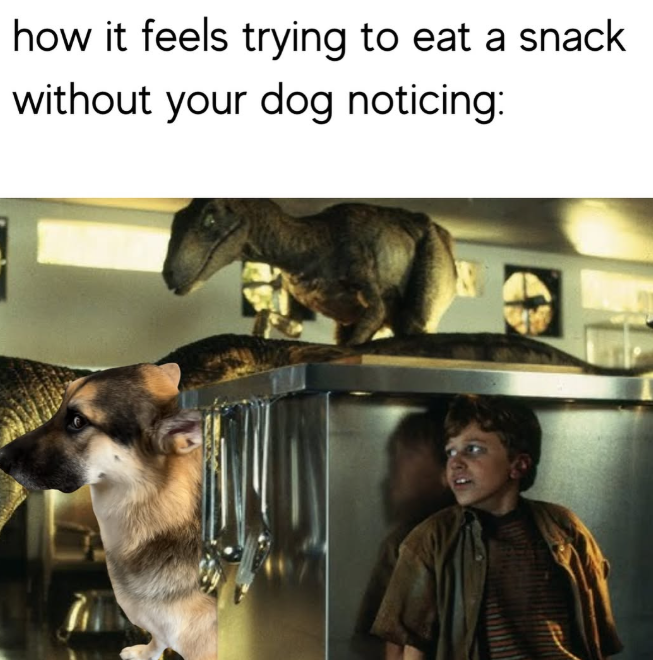 how it feels trying to eat a snack without your dog noticing: