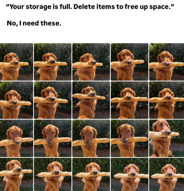 "Your storage is full. Delete items to free up space." No, I need these.