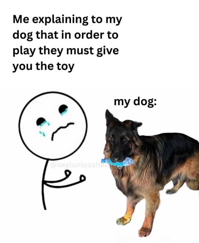 Me explaining to my dog that in order to play they must give you the toy my dog: @axelunleashed