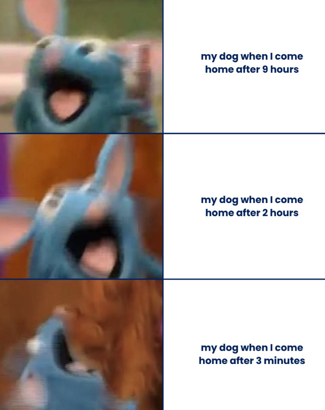 my dog when I come home after 9 hours my dog when I come home after 2 hours my dog when I come home after 3 minutes
