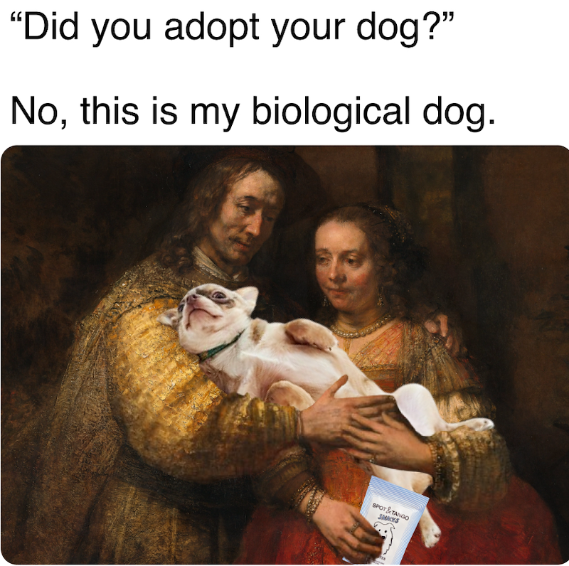 "Did you adopt your dog?" No, this is my biological dog. SPOT&TANGO SMACYS