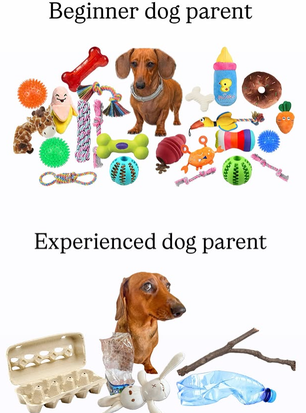 Beginner dog parent www wwww www Experienced dog parent