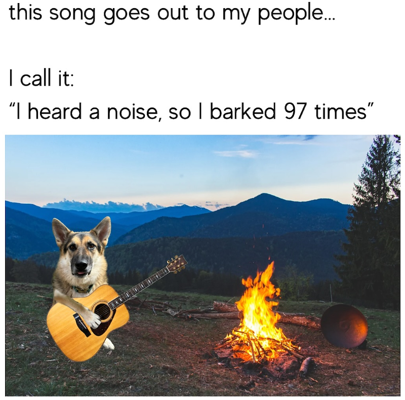this song goes out to my people... I call it: "I heard a noise, so I barked 97 times"