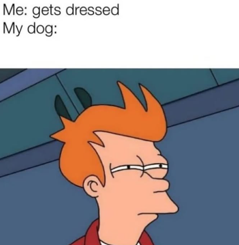 Me: gets dressed My dog: