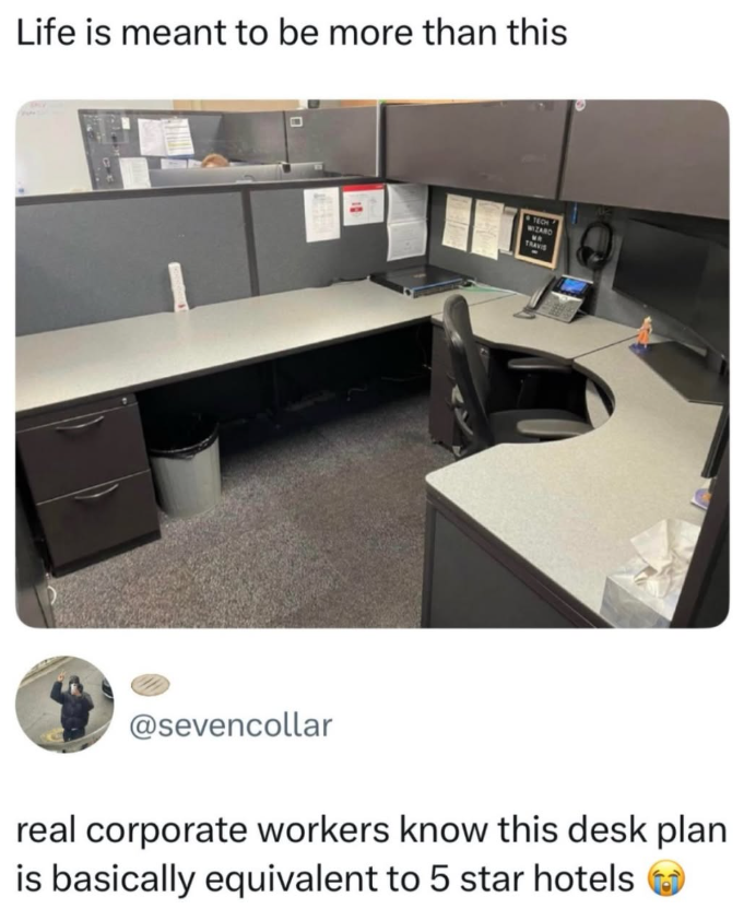 Life is meant to be more than this TECH WIZARD TRAVIS @sevencollar real corporate workers know this desk plan is basically equivalent to 5 star hotels