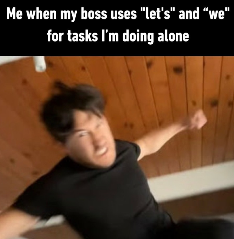 Me when my boss uses "let's" and "we" for tasks I'm doing alone
