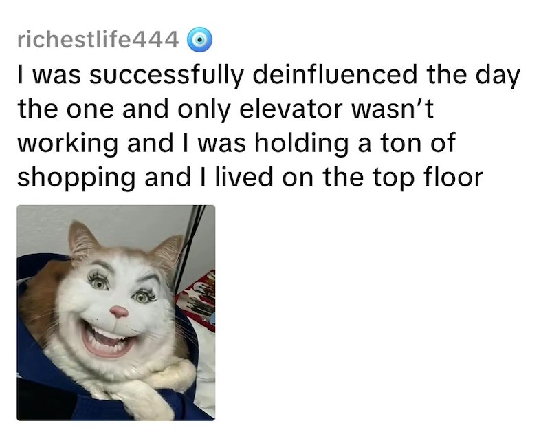 richestlife444 I was successfully deinfluenced the day the one and only elevator wasn't working and I was holding a ton of shopping and I lived on the top floor