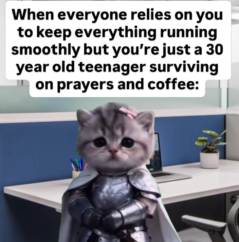 When everyone relies on you to keep everything running smoothly but you're just a 30 year old teenager surviving on prayers and coffee: