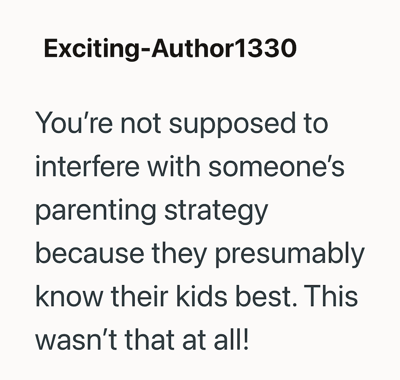 Exciting-Author1330 You're not supposed to interfere with someone's parenting strategy because they presumably know their kids best. This wasn't that at all!