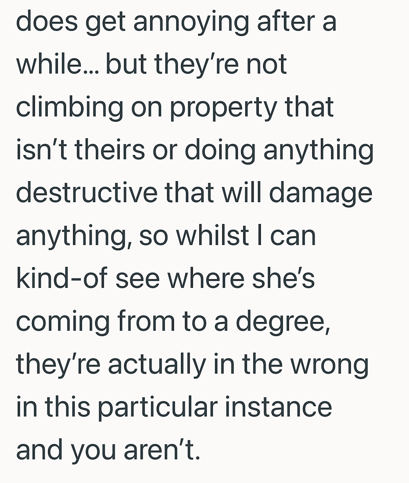 does get annoying after a while... but they're not climbing on property that isn't theirs or doing anything. destructive that will damage anything, so whilst I can kind-of see where she's coming from to a degree, they're actually in the wrong in this particular instance and you aren't.