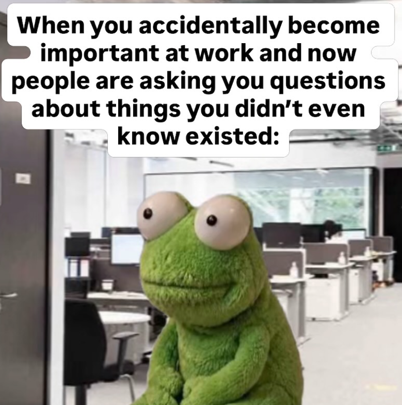 When you accidentally become important at work and now people are asking you questions about things you didn't even know existed: