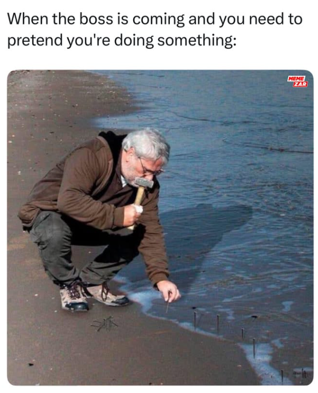 When the boss is coming and you need to pretend you're doing something: MEME ZAR