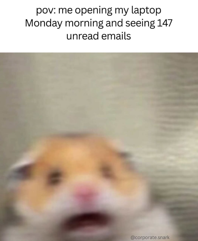 pov: me opening my laptop Monday morning and seeing 147 unread emails @corporate.snark