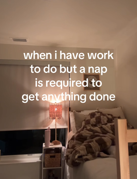 when i have work to do but a nap is required to get anything done