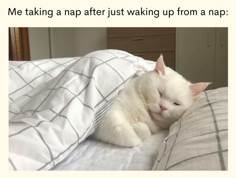 Me taking a nap after just waking up from a nap: