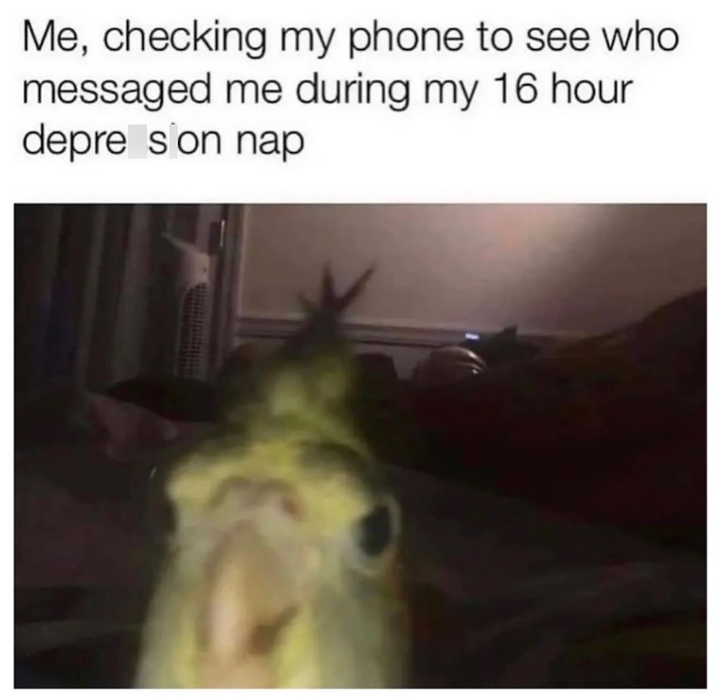 Me, checking my phone to see who messaged me during my 16 hour depre son nap