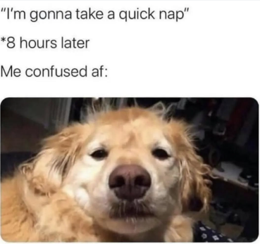 "I'm gonna take a quick nap" *8 hours later Me confused af: