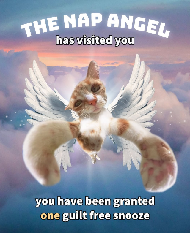 THE NAP ANGEL has visited you cleecloomou you have been granted one guilt free snooze