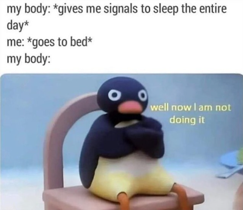 my body: *gives me signals to sleep the entire day* me: *goes to bed* my body: O well now I am not doing it